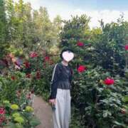 ヒメ日記 2025/07/13 21:12 投稿 内勤あらき 晴れんち