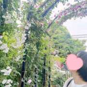 ヒメ日記 2025/07/15 21:02 投稿 内勤あらき 晴れんち