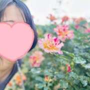 ヒメ日記 2025/07/26 21:02 投稿 内勤あらき 晴れんち