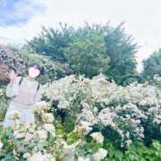 ヒメ日記 2025/10/08 20:31 投稿 内勤あらき 晴れんち