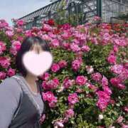 ヒメ日記 2025/10/13 23:20 投稿 内勤あらき 晴れんち