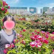 ヒメ日記 2025/10/16 20:30 投稿 内勤あらき 晴れんち