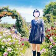 ヒメ日記 2025/10/23 20:30 投稿 内勤あらき 晴れんち