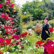 ヒメ日記 2025/10/24 20:31 投稿 内勤あらき 晴れんち