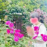 ヒメ日記 2025/10/28 10:20 投稿 内勤あらき 晴れんち