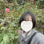 ヒメ日記 2025/11/24 10:00 投稿 内勤あらき 晴れんち