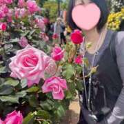 ヒメ日記 2025/11/26 10:10 投稿 内勤あらき 晴れんち