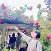 ヒメ日記 2025/12/29 11:30 投稿 内勤あらき 晴れんち