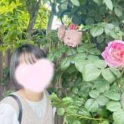 ヒメ日記 2026/01/08 12:31 投稿 内勤あらき 晴れんち