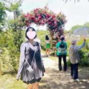 ヒメ日記 2026/01/31 10:30 投稿 内勤あらき 晴れんち