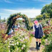 ヒメ日記 2026/02/02 10:30 投稿 内勤あらき 晴れんち