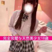 ヒメ日記 2026/02/12 16:30 投稿 内勤あらき 晴れんち