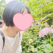 ヒメ日記 2026/02/15 10:30 投稿 内勤あらき 晴れんち