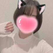 ヒメ日記 2026/02/22 10:30 投稿 内勤あらき 晴れんち