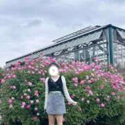 ヒメ日記 2026/03/05 10:30 投稿 内勤あらき 晴れんち