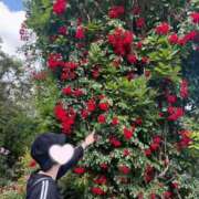 ヒメ日記 2026/03/06 10:40 投稿 内勤あらき 晴れんち