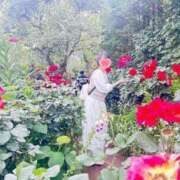 ヒメ日記 2026/03/19 10:40 投稿 内勤あらき 晴れんち