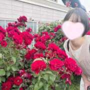 ヒメ日記 2026/03/20 10:40 投稿 内勤あらき 晴れんち