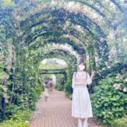 ヒメ日記 2026/03/21 10:30 投稿 内勤あらき 晴れんち