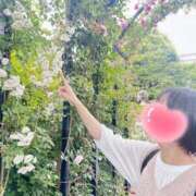 ヒメ日記 2026/04/23 10:40 投稿 内勤あらき 晴れんち