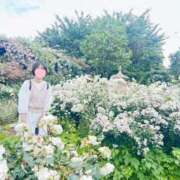 ヒメ日記 2026/06/07 10:30 投稿 内勤あらき 晴れんち