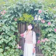 ヒメ日記 2026/06/13 10:30 投稿 内勤あらき 晴れんち