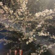 ヒメ日記 2025/04/05 12:32 投稿 松坂 西川口デッドボール