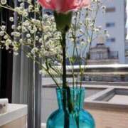 ヒメ日記 2025/06/28 10:27 投稿 松坂 西川口デッドボール