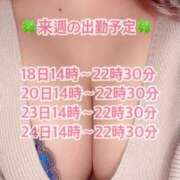 ヒメ日記 2024/11/14 12:46 投稿 矢代 BBW横浜店