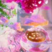 ヒメ日記 2025/04/12 09:53 投稿 めぐる 人妻 ジュリアングループ三多摩店