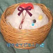 ヒメ日記 2025/07/04 00:50 投稿 めぐる 人妻 ジュリアングループ三多摩店