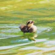 ヒメ日記 2025/07/08 21:06 投稿 はるか パイセン