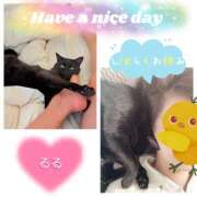 ヒメ日記 2025/08/24 08:30 投稿 るる 千葉人妻セレブリティ（ユメオト）