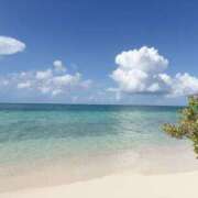 ヒメ日記 2025/09/26 11:23 投稿 るる 千葉人妻セレブリティ（ユメオト）