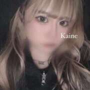 ヒメ日記 2025/03/29 05:15 投稿 かいね スピード難波店