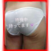 ヒメ日記 2024/12/27 21:05 投稿 きくの 熟女家 ミナミエリア店