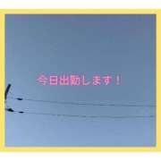 ヒメ日記 2025/01/17 08:05 投稿 きくの 熟女家 ミナミエリア店