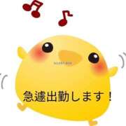 ヒメ日記 2025/01/26 10:05 投稿 きくの 熟女家 ミナミエリア店