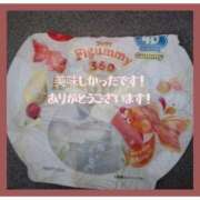 ヒメ日記 2025/03/29 23:55 投稿 きくの 熟女家 ミナミエリア店