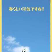 ヒメ日記 2025/04/09 07:55 投稿 きくの 熟女家 ミナミエリア店