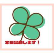 ヒメ日記 2025/04/27 11:15 投稿 きくの 熟女家 ミナミエリア店