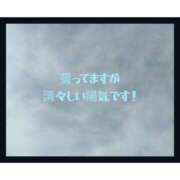 ヒメ日記 2025/05/14 08:05 投稿 きくの 熟女家 ミナミエリア店