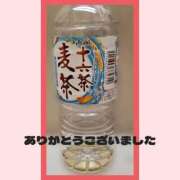 ヒメ日記 2026/03/23 16:55 投稿 きくの 熟女家 ミナミエリア店