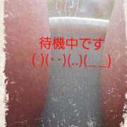 ヒメ日記 2026/04/08 19:35 投稿 きくの 熟女家 ミナミエリア店