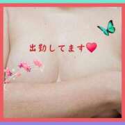 ヒメ日記 2026/04/10 19:15 投稿 きくの 熟女家 ミナミエリア店