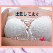 ヒメ日記 2026/04/11 18:55 投稿 きくの 熟女家 ミナミエリア店