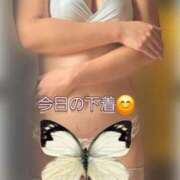 ヒメ日記 2026/05/31 12:26 投稿 きくの 熟女家 ミナミエリア店