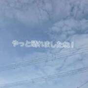 ヒメ日記 2026/07/08 16:15 投稿 きくの 熟女家 ミナミエリア店