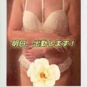 ヒメ日記 2026/09/26 17:35 投稿 きくの 熟女家 ミナミエリア店