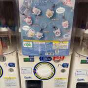 ヒメ日記 2025/11/21 10:16 投稿 つむぎ THE ESUTE HOUSE 柴田